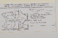 登錄號:S077738藏品圖，第2張
