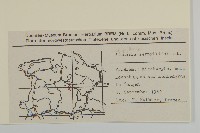 無心菜、鵝不食草藏品圖，第2張