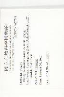 軟毛柿藏品圖，第2張