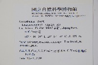 木蠟樹、山漆藏品圖，第2張