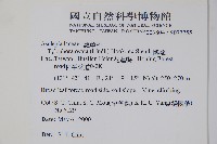 鷗蔓藏品圖，第2張