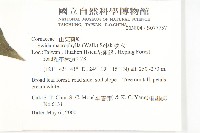 梜木藏品圖，第2張