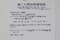 木蠟樹、山漆藏品圖，第2張