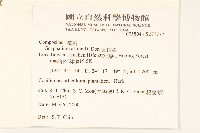 鼠麴草藏品圖，第2張