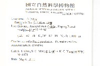 葶藶藏品圖，第2張