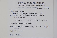 臺北附地草藏品圖，第2張