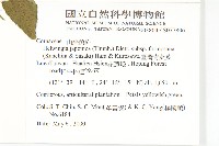 臺灣青莢葉藏品圖，第2張