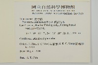 佩羅特木藏品圖，第2張