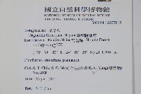 臺灣附地草藏品圖，第2張