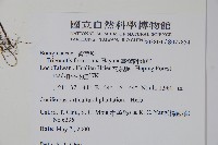 臺灣附地草藏品圖，第2張