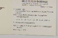 太魯閣艾藏品圖，第2張