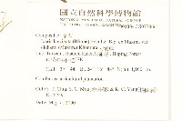 刀傷草藏品圖，第2張