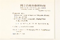 福山氏飛蓬藏品圖，第2張