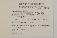 阿里山繁縷藏品圖，第2張