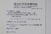 清水山小檗藏品圖，第2張