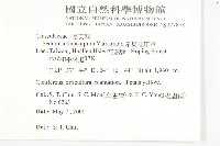 星果佛甲草藏品圖，第2張