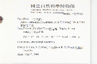 臺灣筷子芥藏品圖，第2張