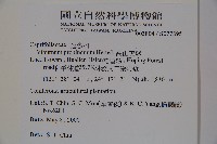 高山莢迷藏品圖，第2張