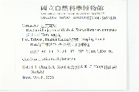 四照花藏品圖，第2張