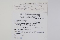 紅莖獼猴桃藏品圖，第2張