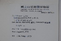 阿里山忍冬、漸尖葉忍冬藏品圖，第2張
