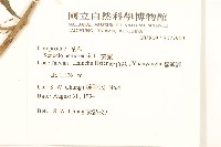 黃菀藏品圖，第2張