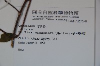 登錄號:S077911藏品圖，第2張