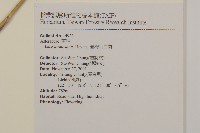 深紅茵芋藏品圖，第2張