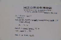 登錄號:S077922藏品圖，第2張