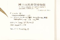 黃菀藏品圖，第2張