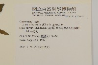 臺灣馬蘭藏品圖，第2張