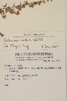 中南蒿藏品圖，第2張