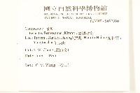 臺灣款冬藏品圖，第2張