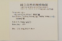 臺灣馬蘭藏品圖，第2張