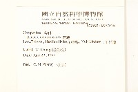 黃菀藏品圖，第2張