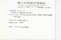 梜木藏品圖，第2張