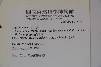 臺灣蝴蝶戲珠花、臺灣蝴蝶花藏品圖，第2張