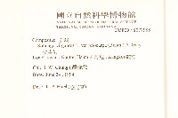 一枝黃花藏品圖，第2張