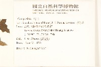 刀傷草藏品圖，第2張