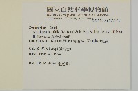 臺灣鬼督郵藏品圖，第2張