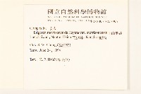 玉山飛蓬藏品圖，第2張