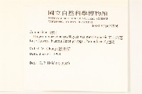 玉山飛蓬藏品圖，第2張