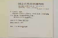 尼泊爾籟簫藏品圖，第2張