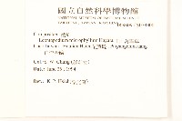 玉山薄雪草藏品圖，第2張