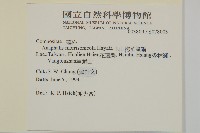 玉山抱莖籟簫藏品圖，第2張