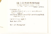 玉山毛蓮菜藏品圖，第2張