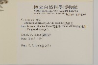 太魯閣艾藏品圖，第2張