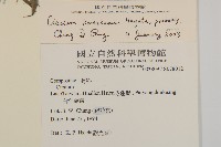 玉山薊藏品圖，第2張