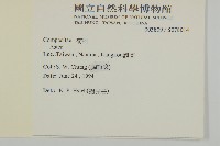 法國菊藏品圖，第2張