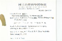 盒果藤藏品圖，第2張